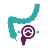 Proctology icon